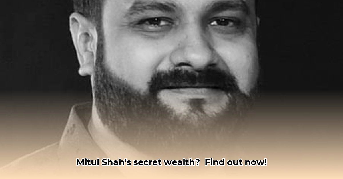 mitul-shah-surat-net-worth